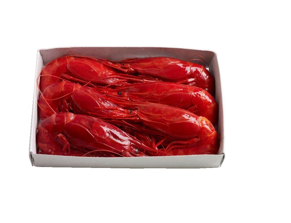 Carabineros reuzengambas 8-10