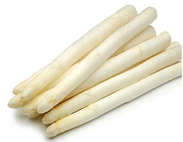 Verse  Belgische asperges wit