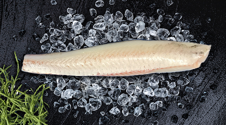 Schelvishaasje zonder vel