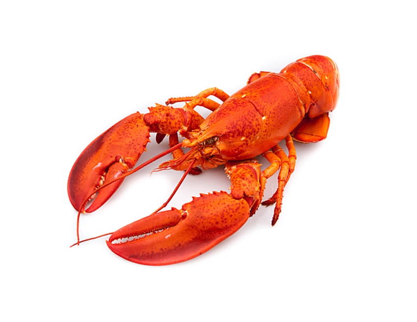 Warme kreeftenbereiding Beurre Blanc met asperges