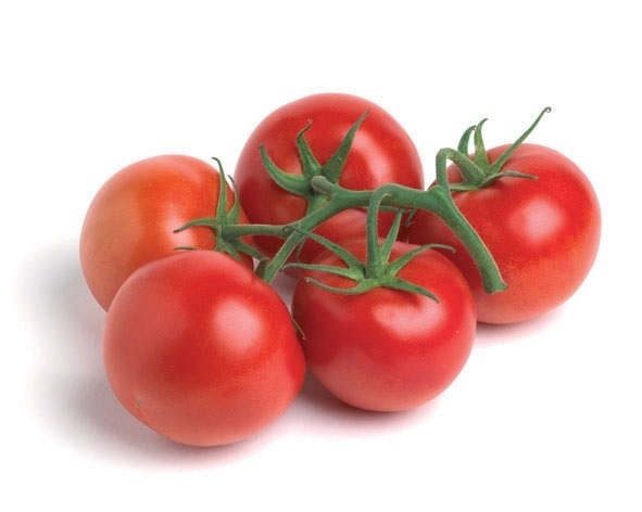 verse tomaten