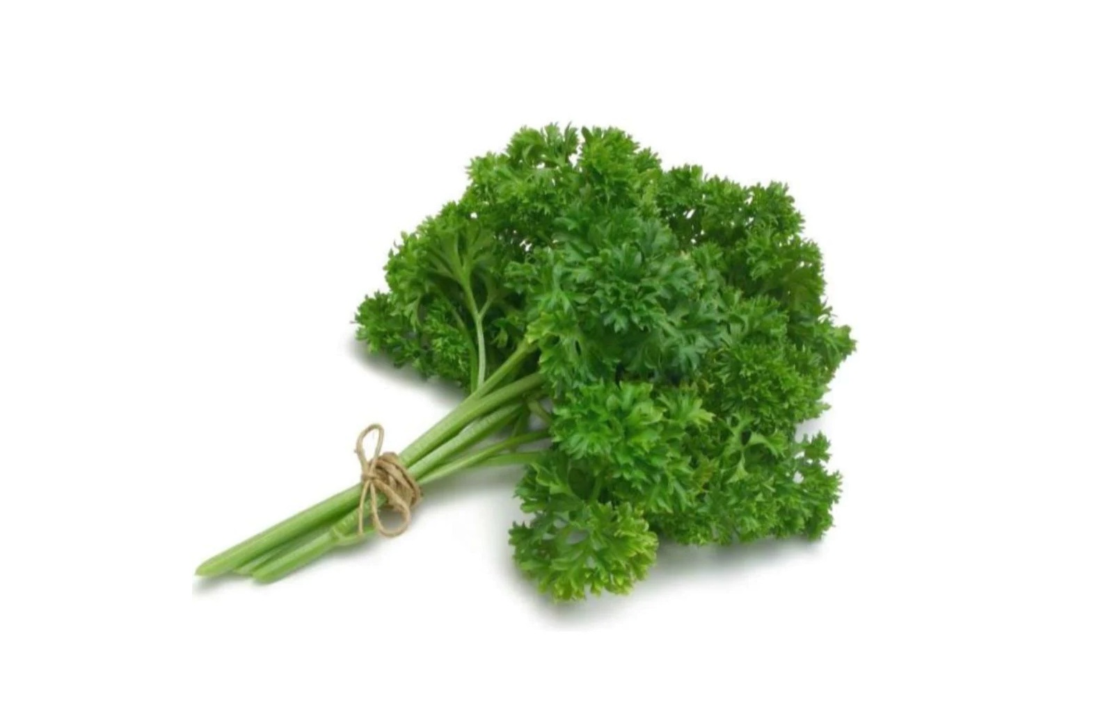 krulpeterselie