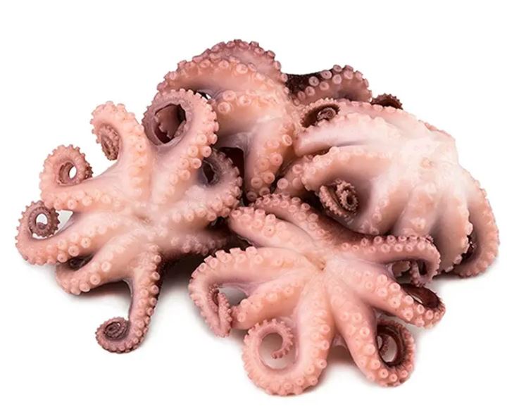 babyoctopus - pulpito