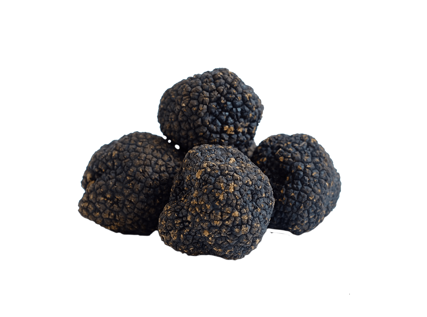 verse  zwarte truffel