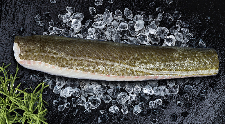 vers kabeljauwhaasje op vel