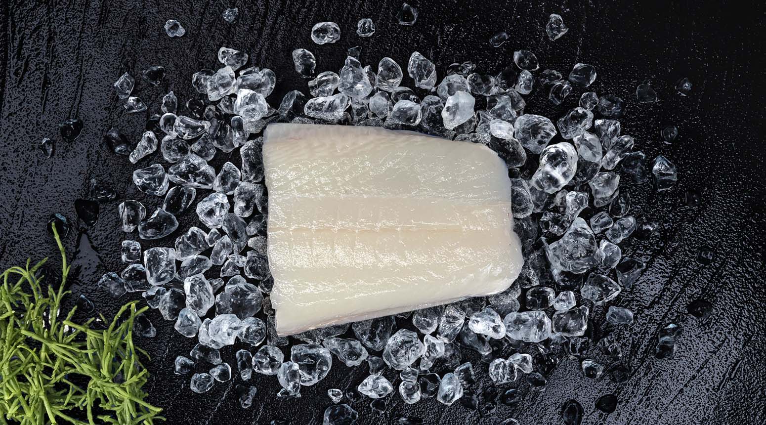 heilbotfilet zonder vel