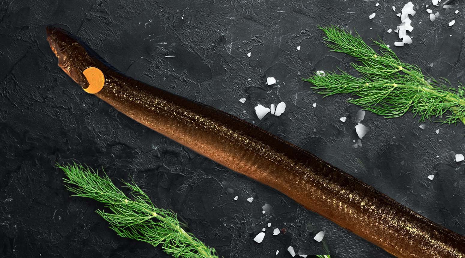 ambachtelijk gerookte paling heel