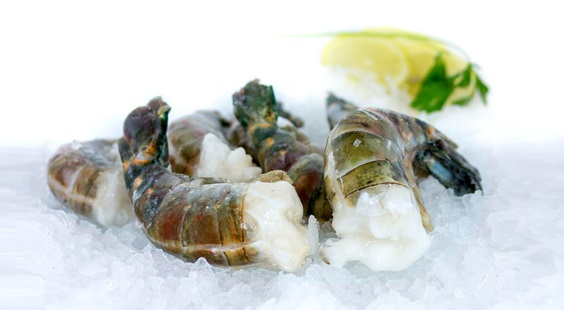 Black tiger easypeel scampi