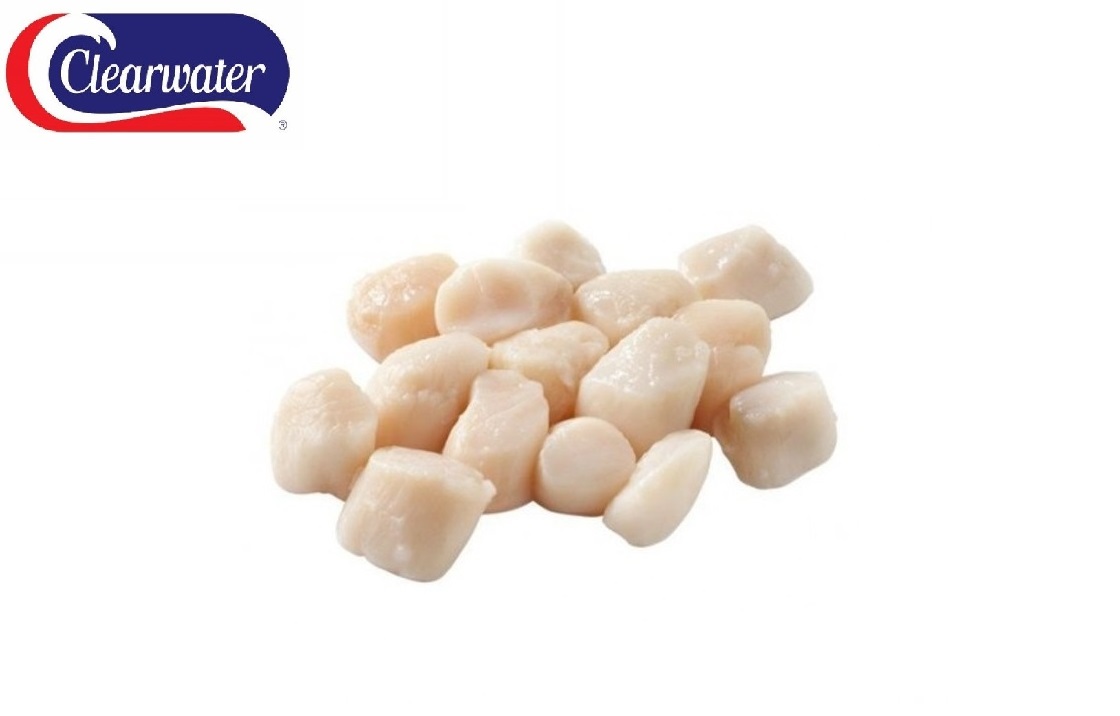 sint-jacobsvruchten coquilles clearwater