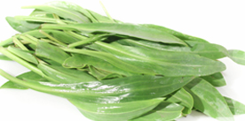 lamsoor of zeeaster met licht zilte smaak